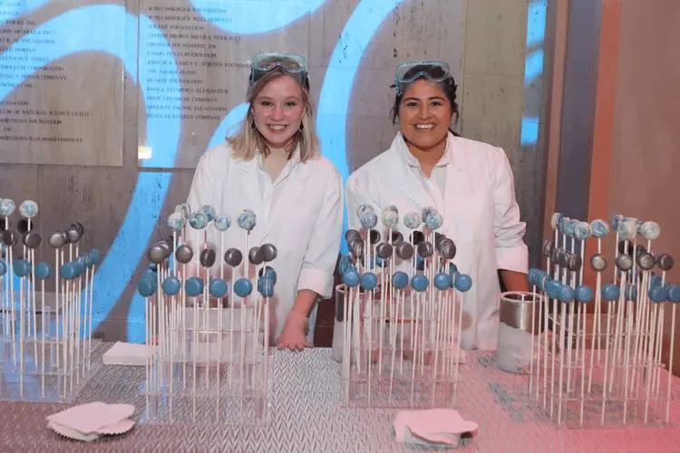 dessert-catering-houston-macaron-2